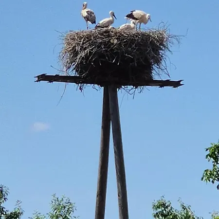 Am Storchennest *