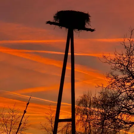 Am Storchennest לודוויגספלדה