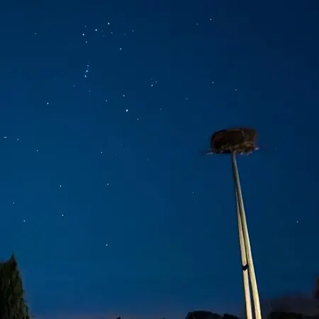 Am Storchennest * לודוויגספלדה